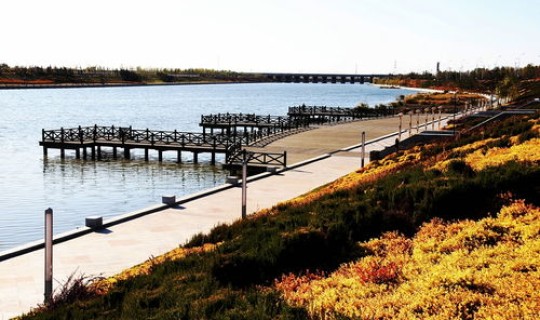 鲅鱼圈疫情怎么样,可以旅游吗现在(最近疫情可以去旅游吗)