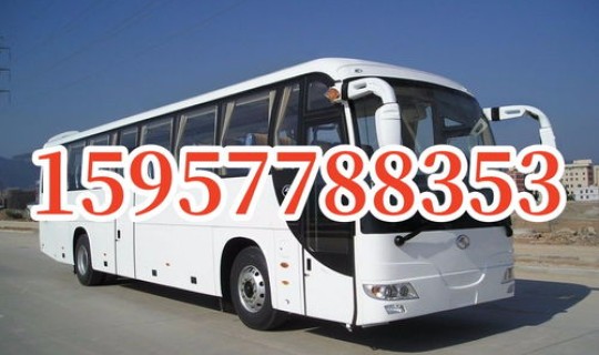 温州大巴停运了吗？长途大巴车为什么取消了