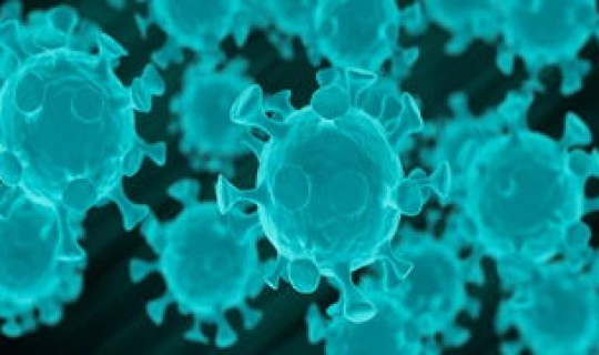 英国出现新型冠状病毒？新型冠状病毒来源