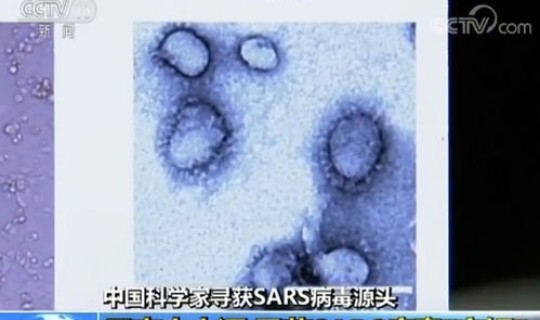 本次德尔塔病毒源头 sars病毒源头