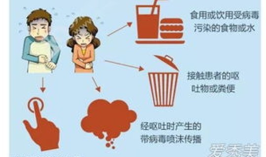 成都有几例病毒(诺如病毒传播途径)