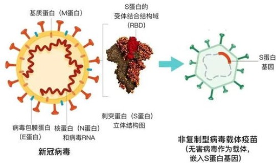 新冠病毒变异毒株德尔塔症状对比，新冠德尔塔变异株特点有哪些