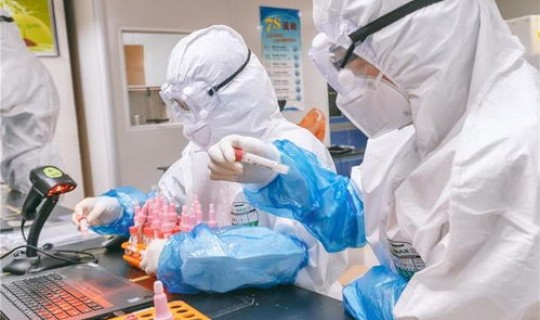 上海核酸检测几号结束 病毒核酸检测