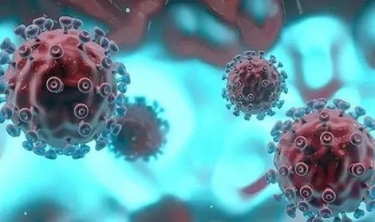 病毒传代间隔？病毒变异意味着什么