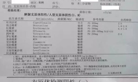 解脲支原体阳性是啥病，解脲支原体最终下场