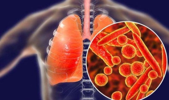 汨罗新冠肺炎最新消息，湖南病毒感染最新消息