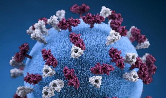 变异毒株超3000，超级变异毒株是什么