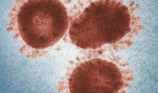 北京有没有新增新型肺炎 北京现在有什么病毒感染