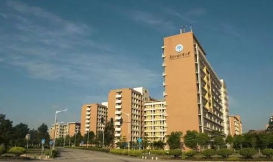 广州外国语学院和广东外语外贸大学，广东工业大学外国语学院