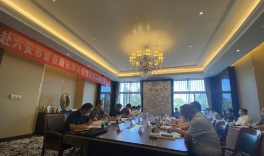 六安新冠疫情(六安市)