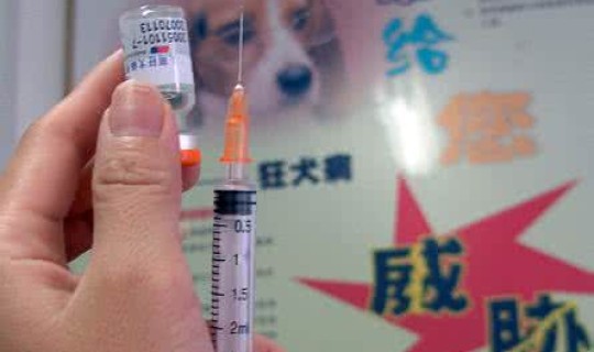 去成都重庆需要打疫苗吗 成都打狂犬疫苗多少钱