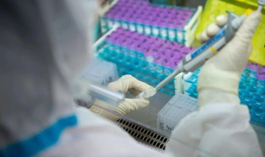 武汉三天核酸检测？武汉dna检测在哪里