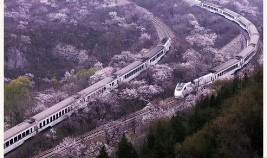 2o21端午节是那天，端午节的时间是什么