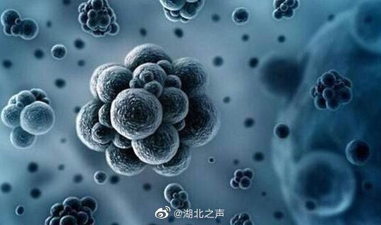 新型冠状病毒第二次爆发在哪里 冠状病毒怎么来的