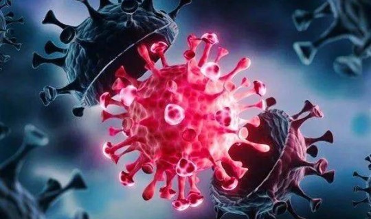 德尔塔毒株 日本 德尔塔毒株为什么叫德尔塔