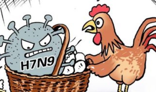 杭州市疫情高发区吗，杭州市登革热疫情严重吗登革热是因什么引起的