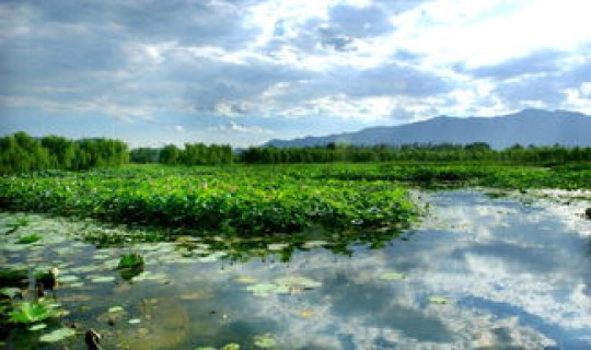 北京公园开放情况分析，北京翠湖湿地公园