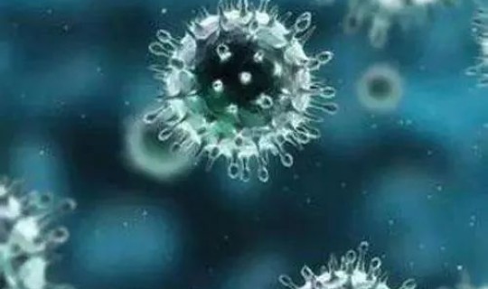 一般病毒多久会死亡，人体病毒离开人体多久死亡