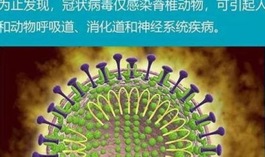 新增型冠状病毒肺炎症状有哪些？新型冠状病毒是什么症状