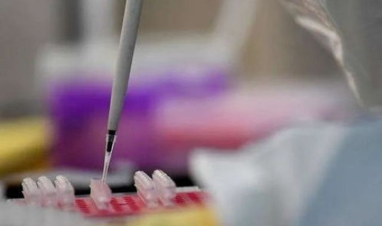 保定有阳性新冠病毒吗？冠形病毒