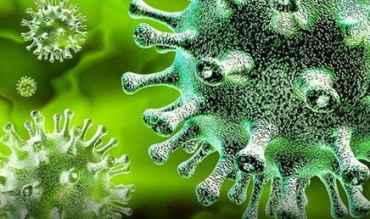 新冠病毒在哪？新冠病毒从哪里来