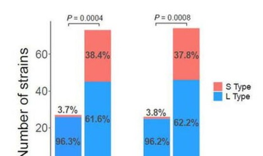 上海 新冠 复阳	，新冠复阳