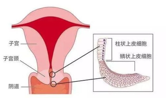 症状在感染后多长时间达到高峰，如何达到性高峰