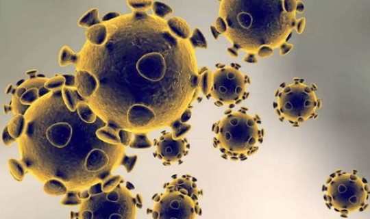 目前为止没有新冠肺炎的国家有几个?新冠病毒是哪个国家引起的 目前为止没有新冠肺炎的国家有几个?新冠病毒是哪个国家引起的