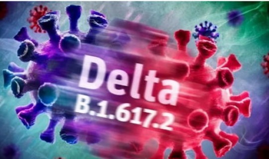 德尔塔变异毒株介绍，德尔塔变异毒株特点描述