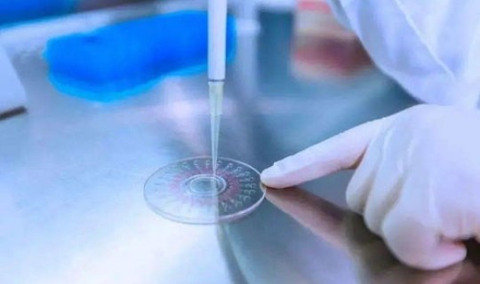 南京疫情核酸检测47人阳性?病毒核酸检测 南京疫情核酸检测47人阳性?病毒核酸检测