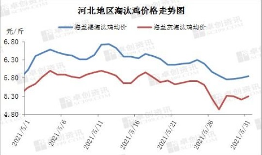 河北鸡蛋价格最新行情走势，今日鸡蛋价格走势图