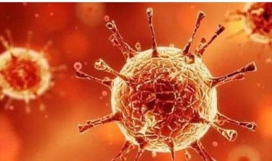 新冠最早爆发在哪里(第一次新冠病毒是哪一年)