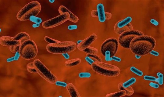 2023年新型冠状病毒肺炎，冠状病毒感染性肺炎症状