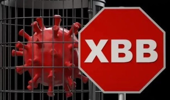 花都新冠疫情最新消息 新冠疫情什么时候结束