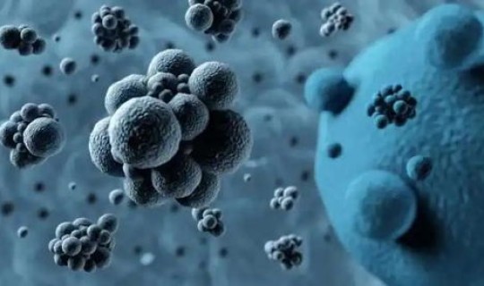 上海近期流行病毒，目前上海流行的病毒是什么病毒