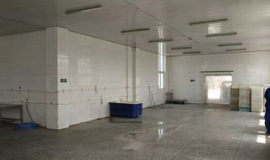 大连冷库封了吗(大连冷库有几家都在哪)