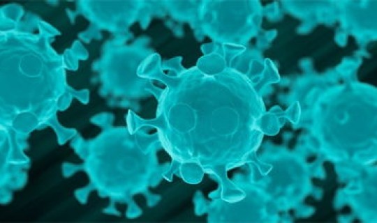 最新的病毒疫情 最新的流行病毒