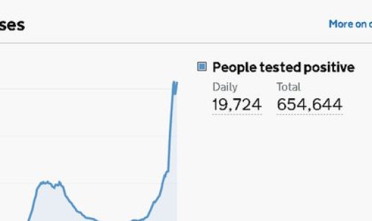 新冠肺炎感染的人数(新冠肺炎确诊人数)