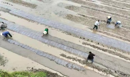 永川的疫情情况(重庆永川区疫情最新消息)