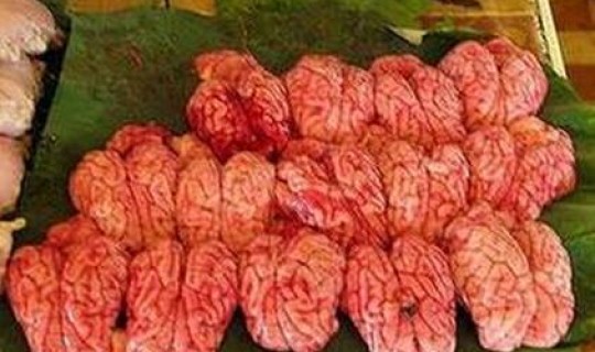 广东猴脑怎么吃 猴脑有什么功效