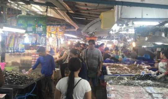 大连湾海鲜疫情(大连海鲜市场哪个最好)