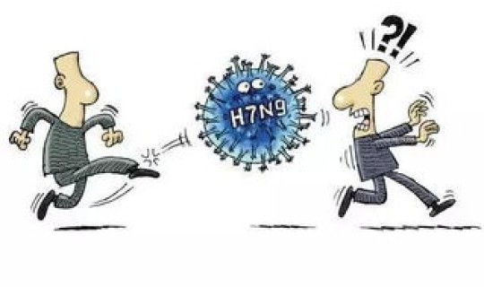 四川禽流感 死亡人数多少？人感染禽流感的概率有多高