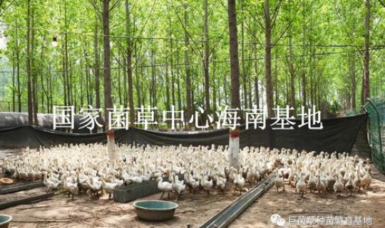 大兴与顺义未来发展谁更好？顺义发展前景