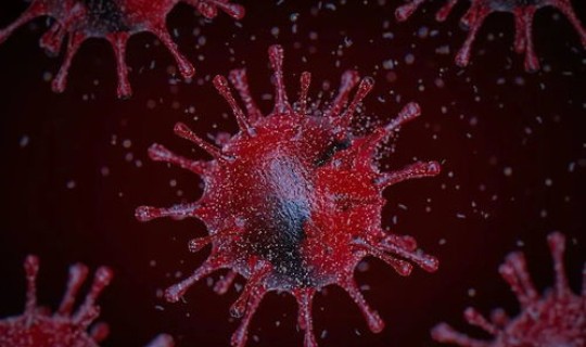 病毒变异是好事吗(病毒越变异越厉害吗)