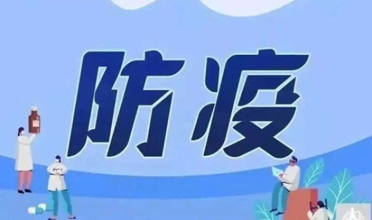 疫情防控21条	，各地疫情情况