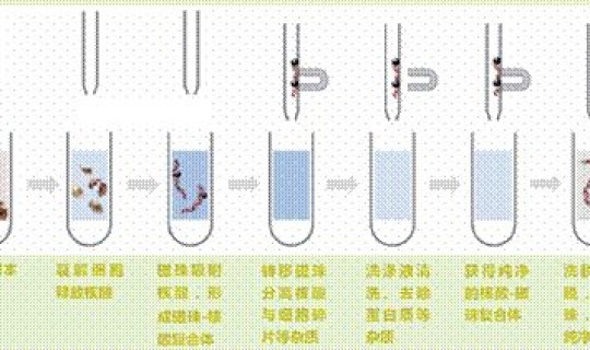 核酸每日一测科学吗，核酸检测方法