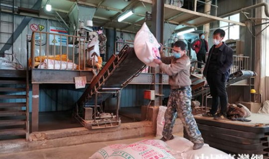 葫芦岛疫情消息(辽宁葫芦岛疫情最新消息今天)