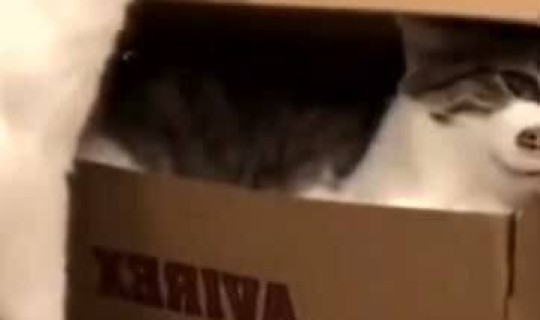 快递员 阳性，为什么没人做快递员了