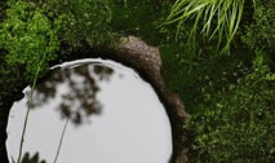 返景入深林复照青苔上上一句是什么 返景入深林中景的意思