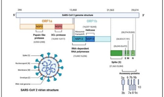 北京核酸检测结果好几天还没出?病毒核酸检测 北京核酸检测结果好几天还没出?病毒核酸检测